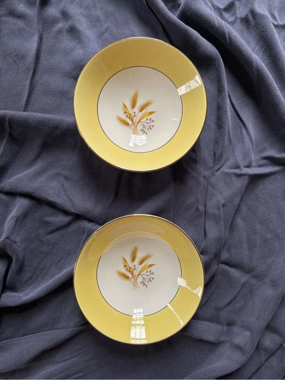 Vintage Autumn Gold Fruit Bowls Set of 2 by Century Service